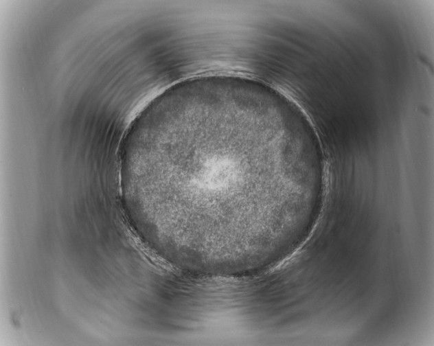 X0000099580925200806131315