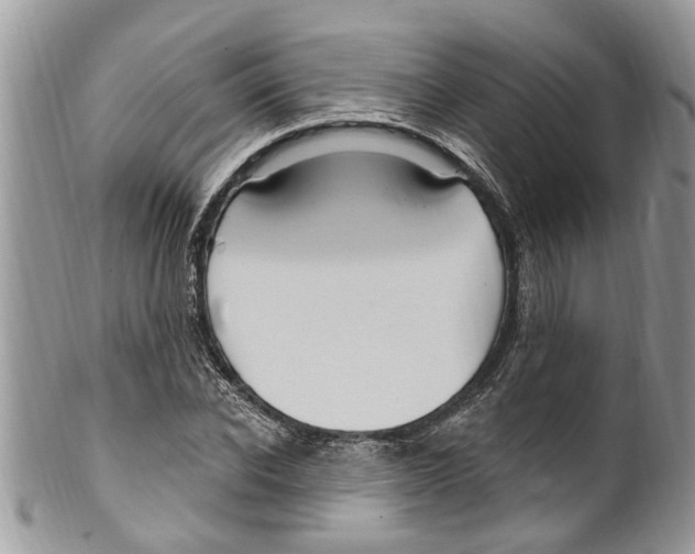 X0000099580926200806131315