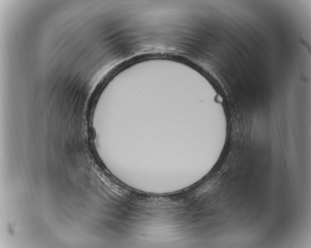 X0000099580927200806131315