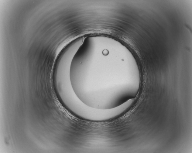 X0000099580928200806131315