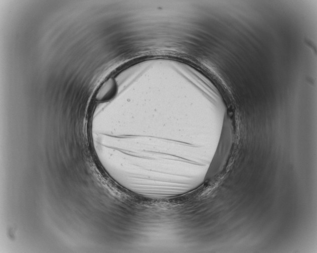 X0000099580932200806131315