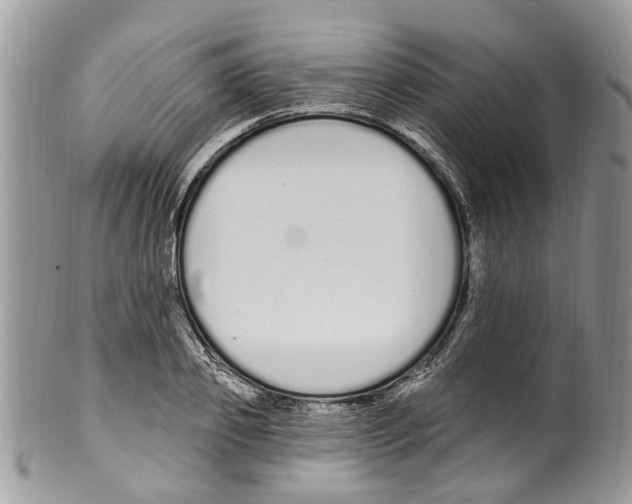 X0000099580933200806131315