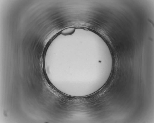 X0000099580936200806131315