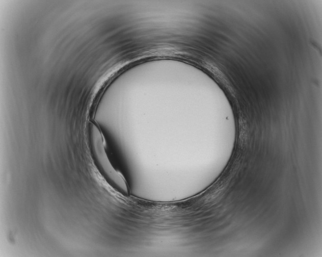 X0000099580939200806131315