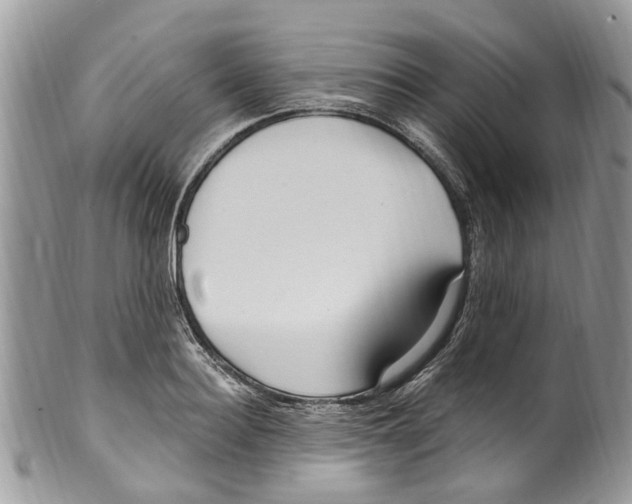 X0000099580940200806131315