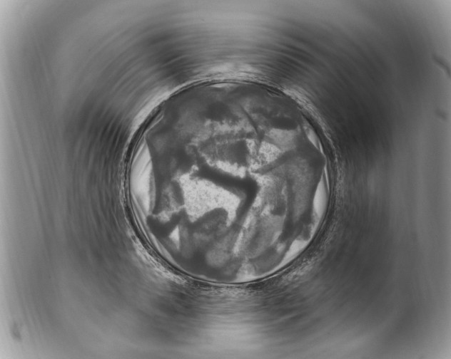 X0000099580941200806131315