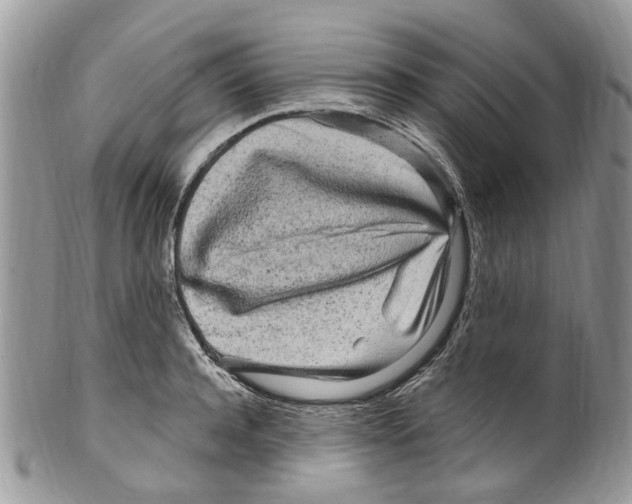 X0000099580944200806131315