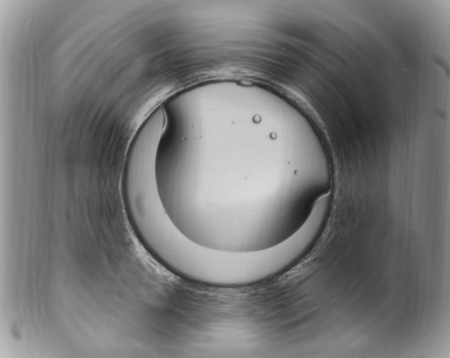 X0000099580946200806131315