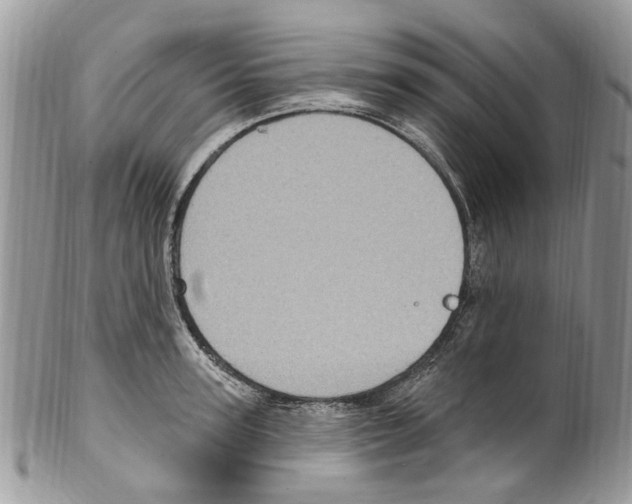 X0000099580947200806131315