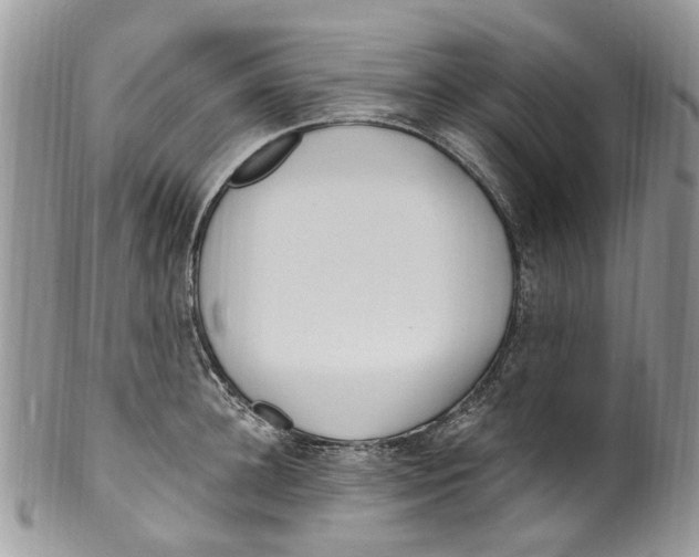 X0000099580948200806131315