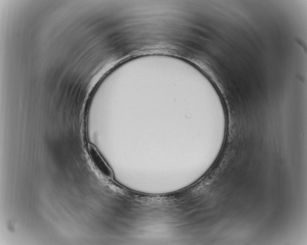 X0000099580949200806131315