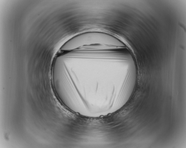 X0000099580951200806131315