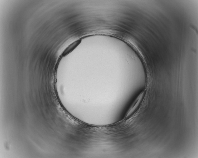 X0000099580952200806131315