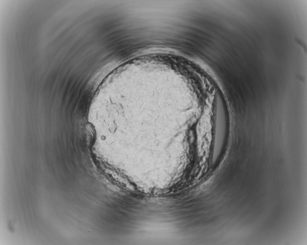 X0000099580953200806131315