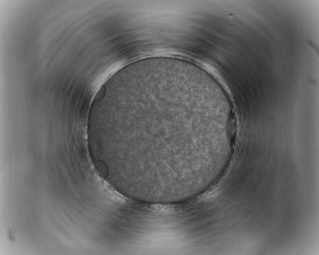 X0000099580954200806131315