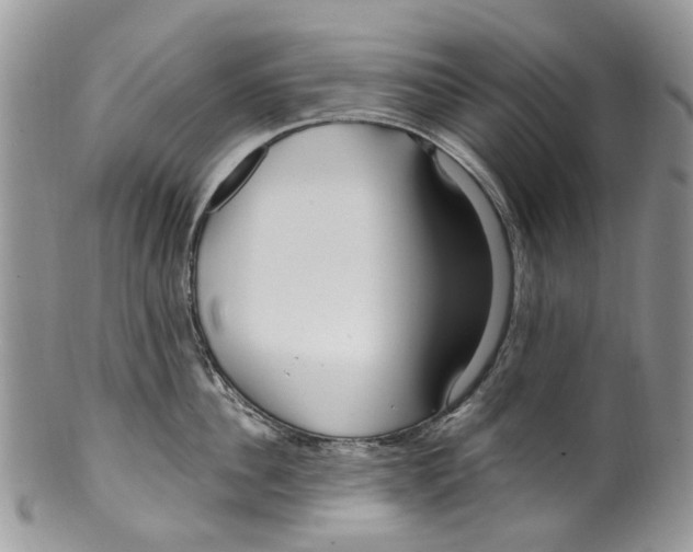 X0000099580956200806131315