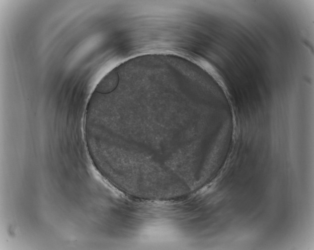 X0000099580958200806131315