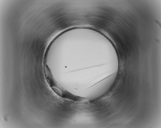 X0000099580959200806131315