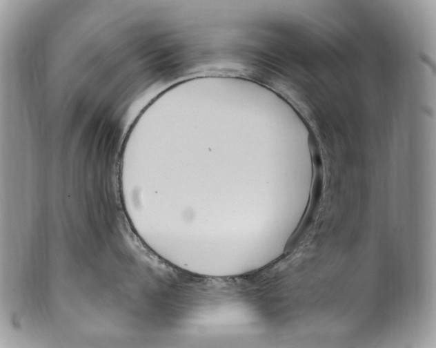 X0000099580960200806131315