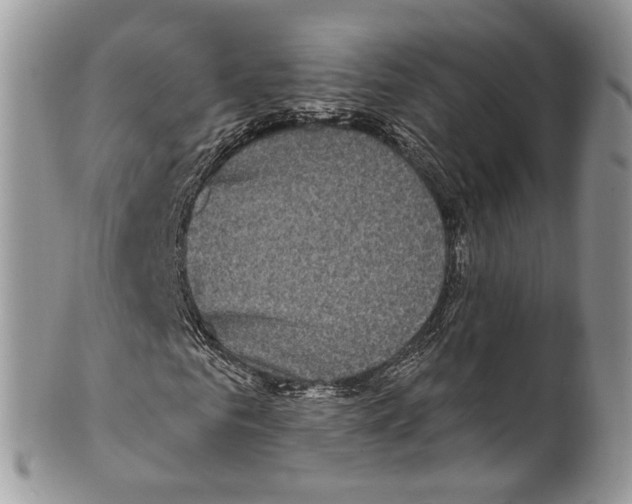 X0000099580961200806131314