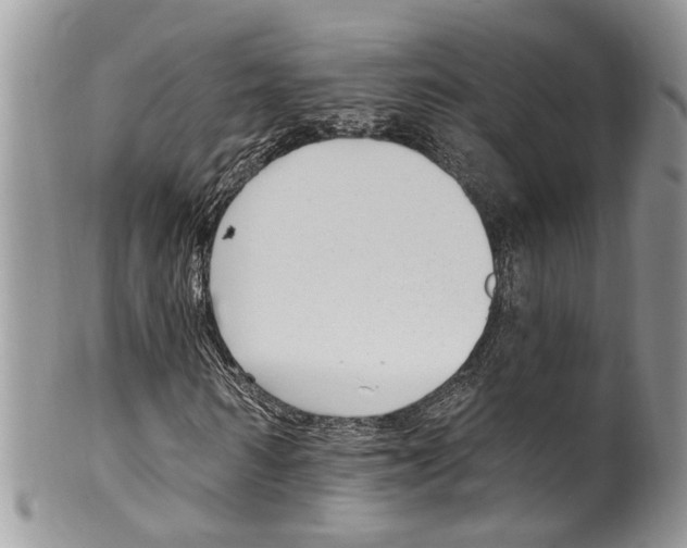 X0000099580962200806131314