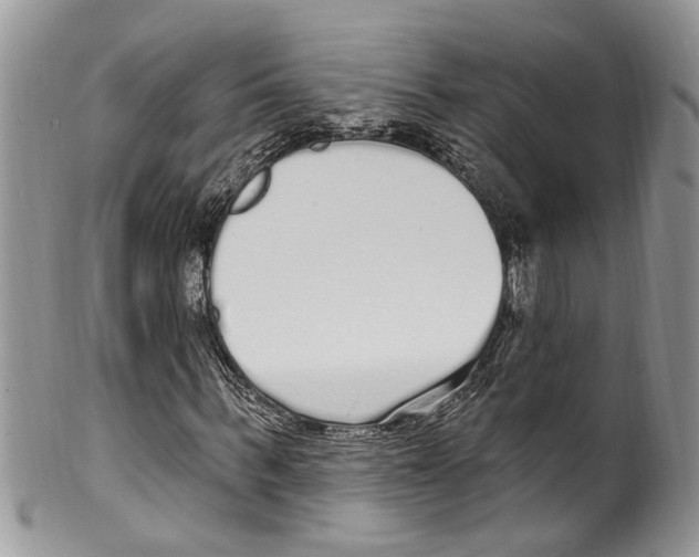 X0000099580963200806131314