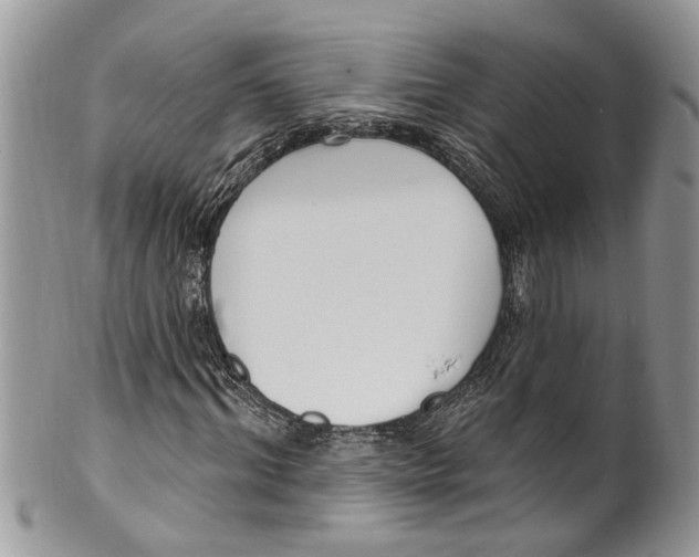 X0000099580964200806131314