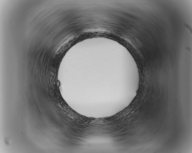 X0000099580967200806131314