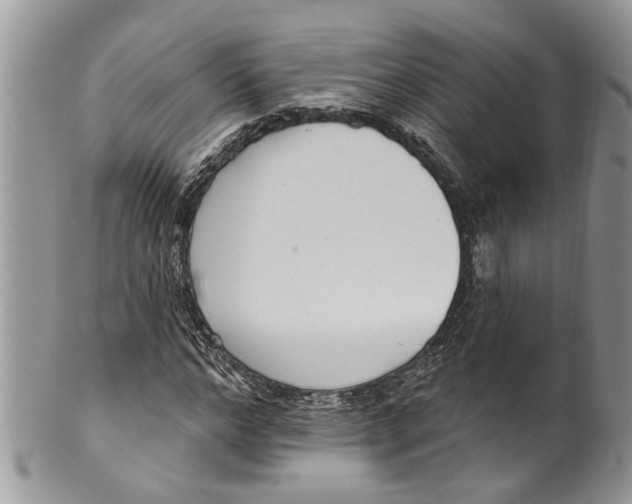 X0000099580968200806131314