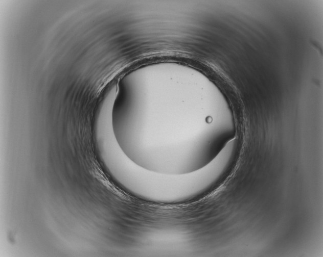 X0000099580969200806131314