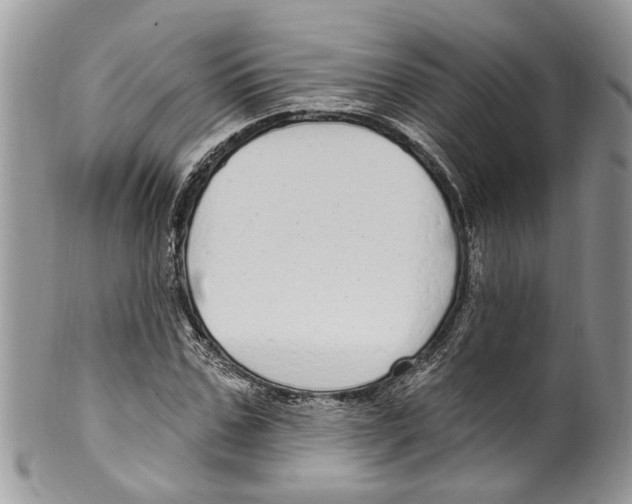 X0000099580971200806131314