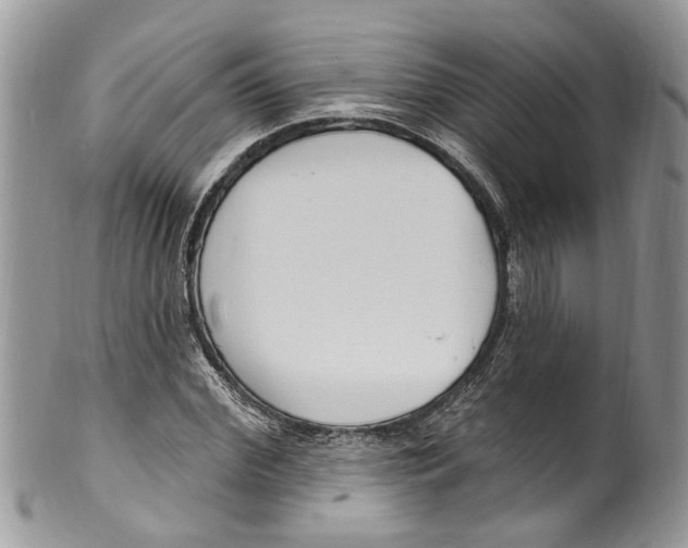 X0000099580972200806131314