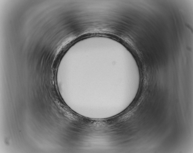 X0000099580974200806131314