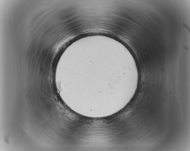 X0000099580979200806131314