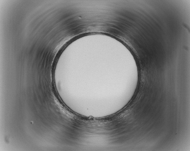 X0000099580980200806131314