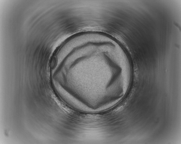 X0000099580981200806131314