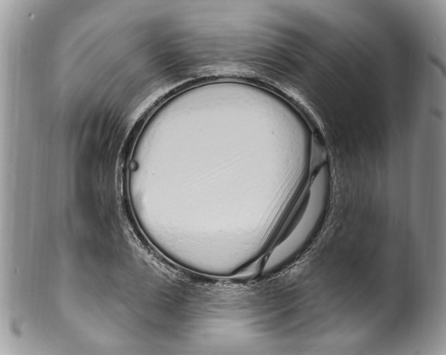 X0000099580983200806131314