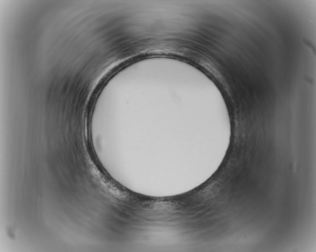 X0000099580984200806131314