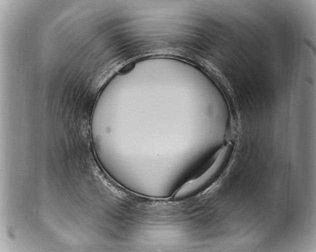 X0000099580985200806131314