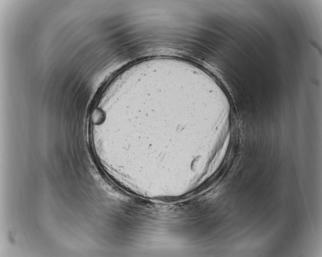 X0000099580987200806131314