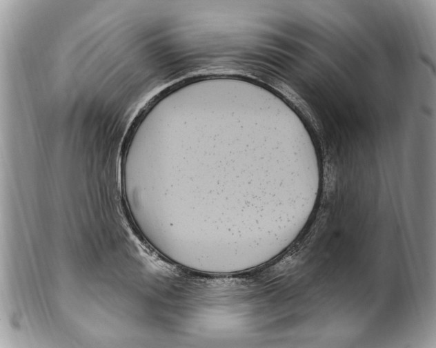 X0000099580988200806131314