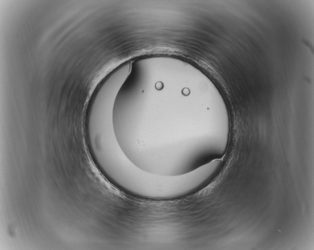 X0000099580989200806131314