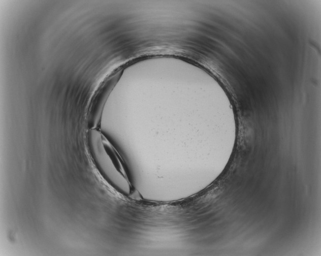 X0000099580992200806131314