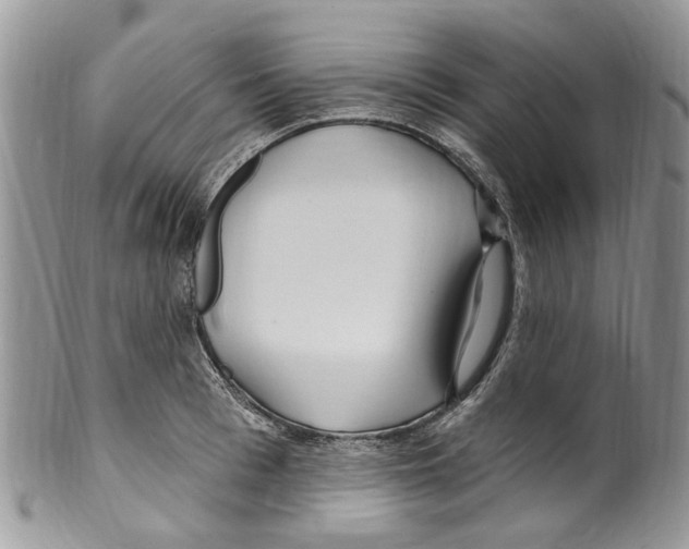 X0000099580993200806131314