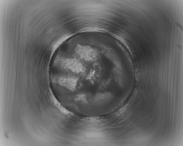 X0000099580995200806131314