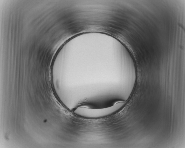 X0000099580996200806131314