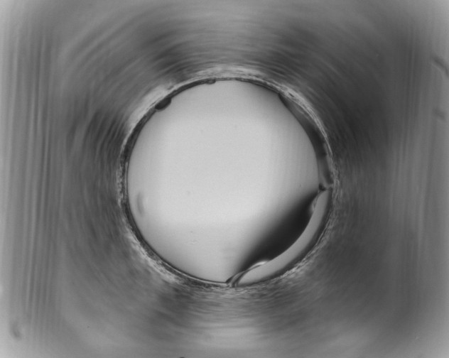 X0000099580997200806131314