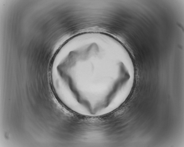 X0000099580998200806131314