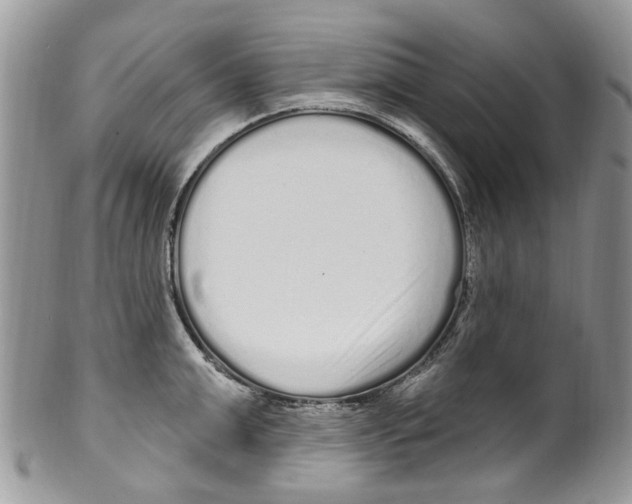 X0000099580999200806131314