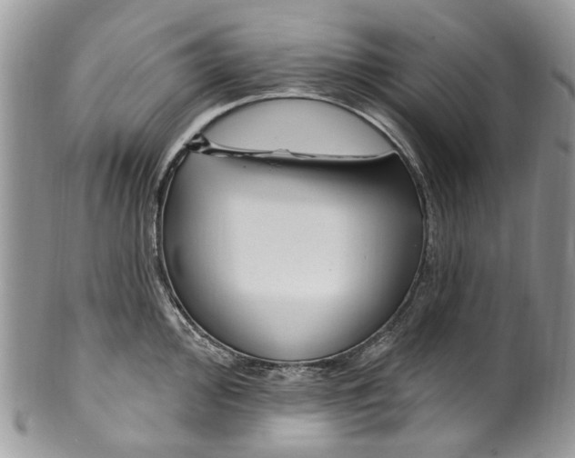 X0000099581000200806131314